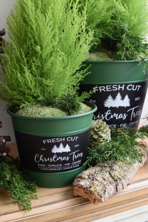 Zinkschale Zinktopf Weihnachtsdeko Weihnachten Adventsdeko Topf Schale aus Zink Übertopf im Mrs Greenery Shop bestellen