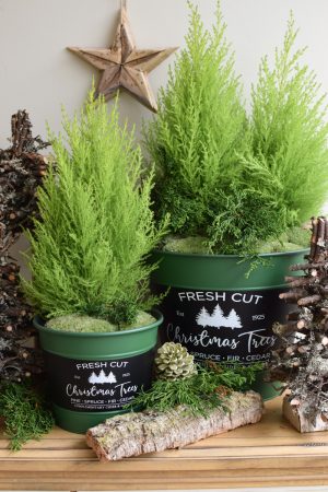Zinkschale Zinktopf Weihnachtsdeko Weihnachten Adventsdeko Topf Schale aus Zink Übertopf im Mrs Greenery Shop bestellen