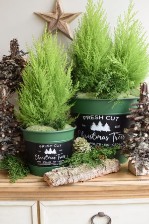 Zinkschale Zinktopf Weihnachtsdeko Weihnachten Adventsdeko Topf Schale aus Zink Übertopf im Mrs Greenery Shop bestellen