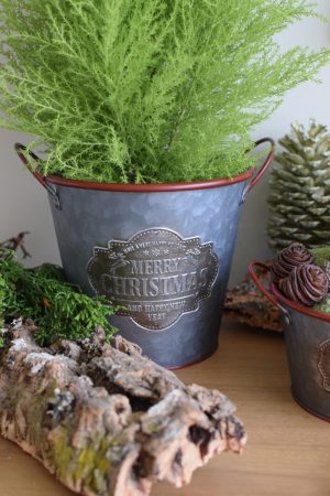 Zinkschale Zinktopf Weihnachtsdeko Weihnachten Adventsdeko Topf Schale aus Zink Übertopf im Mrs Greenery Shop