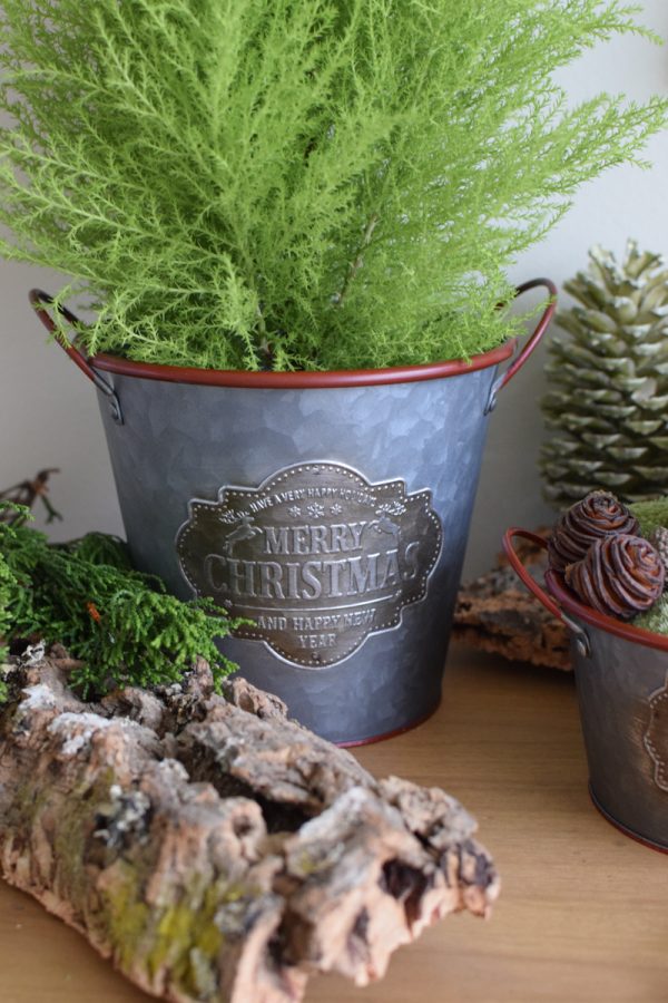 Zinkschale Zinktopf Weihnachtsdeko Weihnachten Adventsdeko Topf Schale aus Zink Übertopf im Mrs Greenery Shop