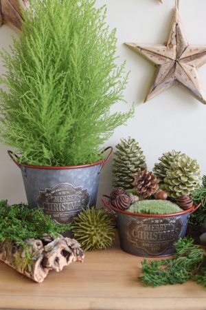 Zinkschale Zinktopf Weihnachtsdeko Weihnachten Adventsdeko Topf Schale aus Zink Übertopf im Mrs Greenery Shop