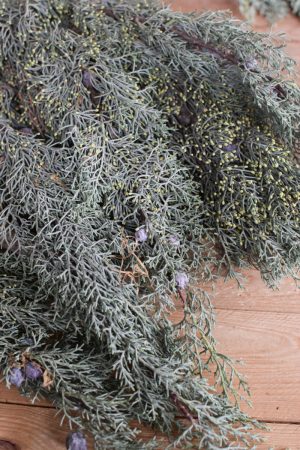 Zypresse Arizona Wintergrün frisch Kranzbinden Winterdeko Herbstdeko kreativsein im Mrs Greenery Shop bestellen kaufen