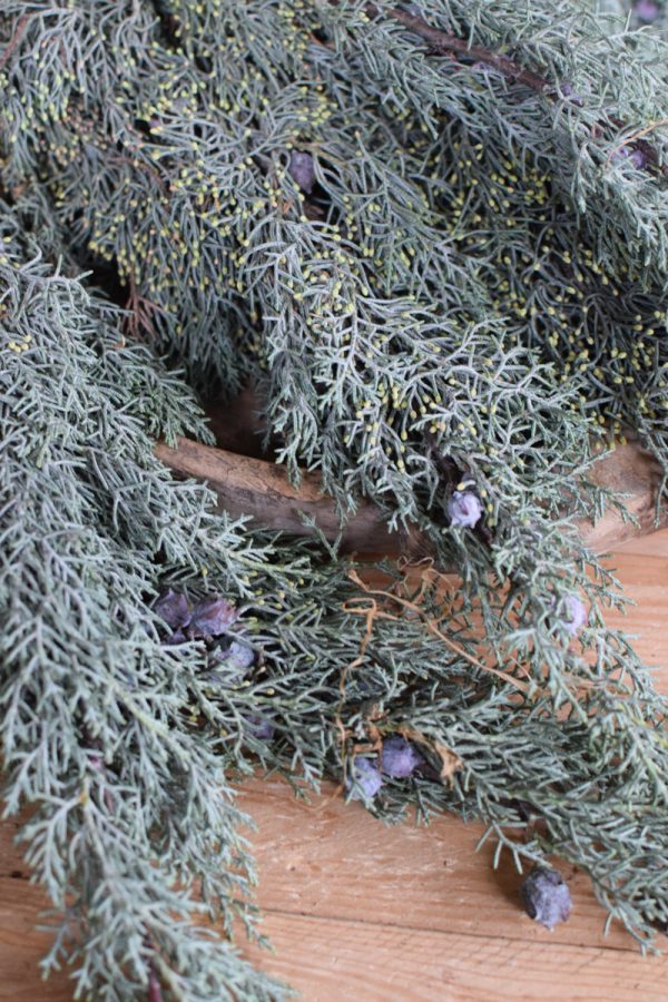 Zypresse Arizona Wintergrün frisch Kranzbinden Winterdeko Herbstdeko kreativsein im Mrs Greenery Shop bestellen kaufen