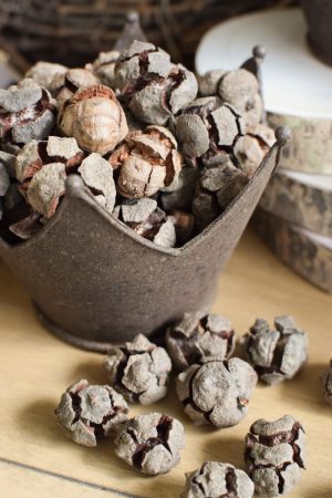 Zypressen Zapfen Zypressenkugel Naturdeko Zapfendeko Naturmaterial im Mrs Greenery Shop bestellen kaufen