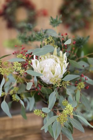 Blumenstrauß Strauss Protea haltbar DIY im Mrs greenery shop bestellen kaufen