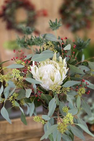 Blumenstrauß Strauss Protea haltbar DIY im Mrs greenery shop bestellen kaufen