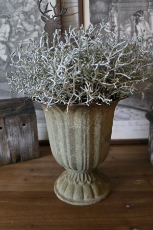 pokal topf übertopf metall metallschale im mrs greenery shop kaufen bestellen stacheldraht pflanze