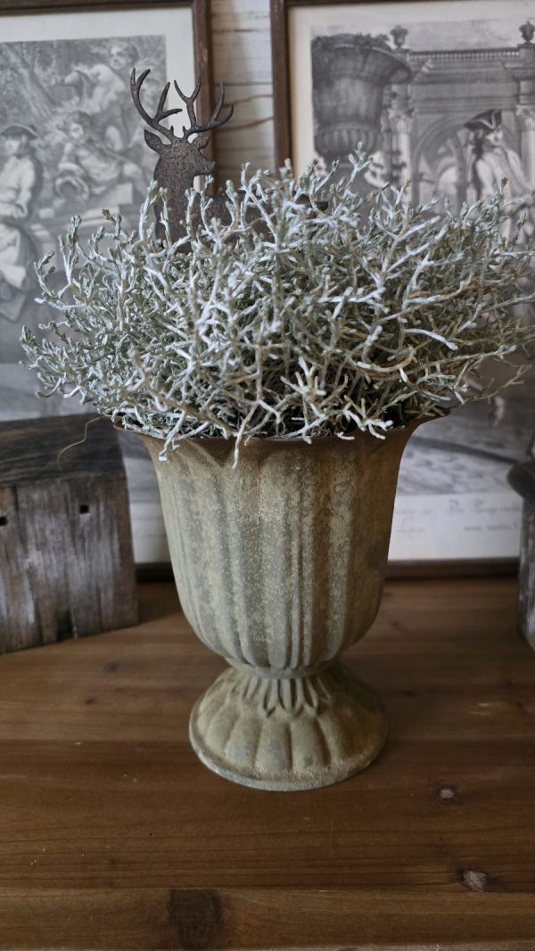 pokal topf übertopf metall metallschale im mrs greenery shop kaufen bestellen stacheldraht pflanze