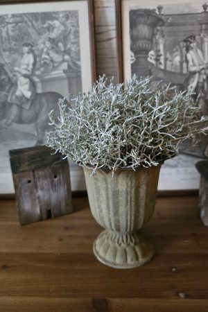 pokal topf übertopf metall metallschale im mrs greenery shop kaufen bestellen stacheldraht pflanze