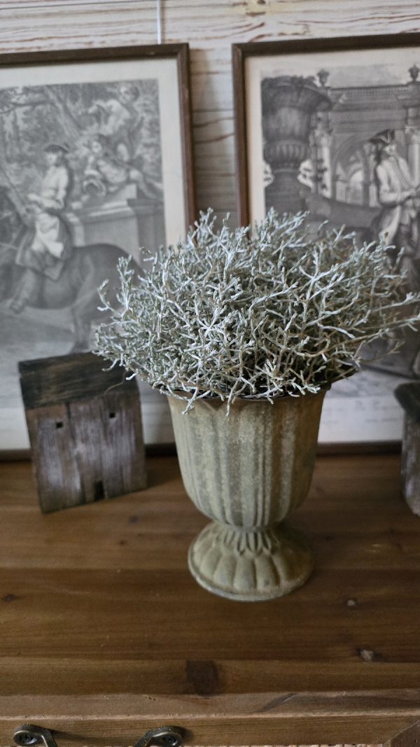 pokal topf übertopf metall metallschale im mrs greenery shop kaufen bestellen stacheldraht pflanze