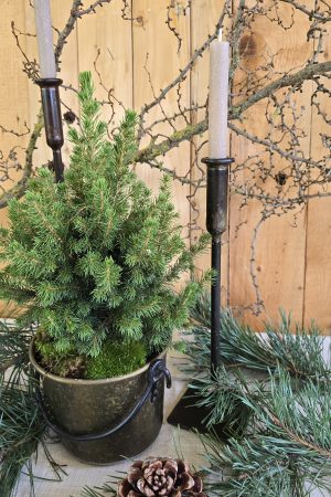 kerzenhalter-metalldeko-kerzenständer-mrs-greenery-bestellen-kaufen