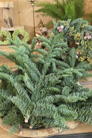 nobilis tanne tannengrün wintergrün tannenzweige im mrs greenery shop bestellen kaufen