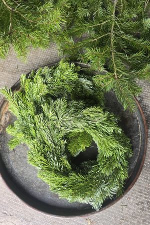 tannenkranz kranz winterkranz weihnachtskranz nordmann nobilis asparagus grün fertigkranz fertig gebunden im mrs greenery shop bestellen kaufen