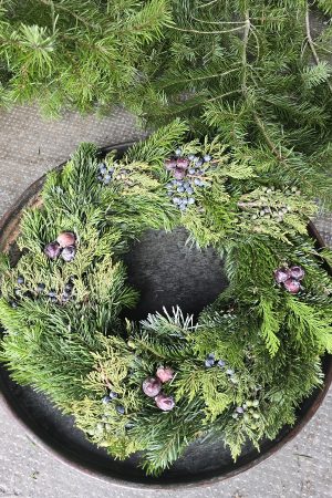 tannenkranz kranz winterkranz weihnachtskranz nordmann nobilis asparagus grün fertigkranz fertig gebunden im mrs greenery shop bestellen kaufen