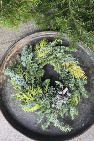 tannenkranz kranz winterkranz weihnachtskranz nordmann nobilis asparagus grün fertigkranz fertig gebunden im mrs greenery shop bestellen kaufen