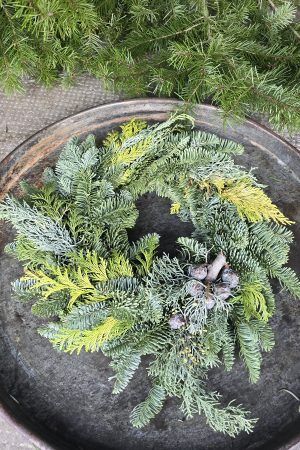 tannenkranz kranz winterkranz weihnachtskranz nordmann nobilis asparagus grün fertigkranz fertig gebunden im mrs greenery shop bestellen kaufen