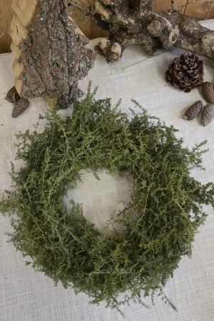 Asparagus Kranz grün getrocknet Kränze Trockenblumen im Mrs Greenery Shop bestellen kaufen