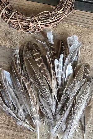 Federn braun Dekofedern Osterdeko Entenfeder im Mrs Greenery Shop bestellen kaufen