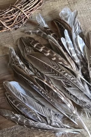 Federn braun Dekofedern Osterdeko Entenfeder im Mrs Greenery Shop bestellen kaufen