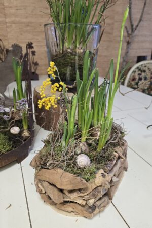 Schale Topf Übertopf Holz Naturdeko Holzdeko im Mrs Greenery Shop bestellen kaufen