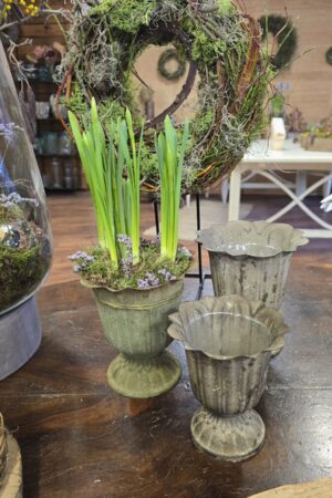 pokal topf übertopf metall metallschale im mrs greenery shop kaufen bestellen