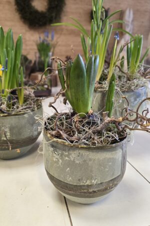 Übertopf Topf Metall mit Patina im Mrs Greenery Shop bestellen kaufen