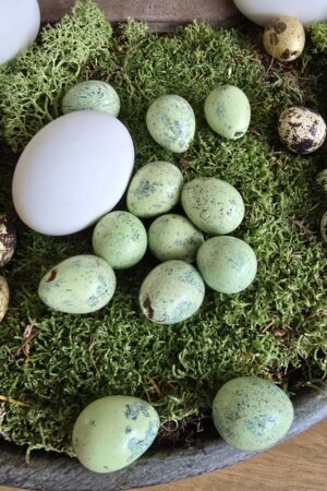 Wachteleier grün Eier Ostereier Dekoeier klein Osterdeko Dekoidee Ostern im Mrs Greenery Shop bestellen