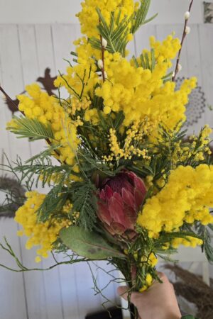 blumenstrauß mimosen protea frühling