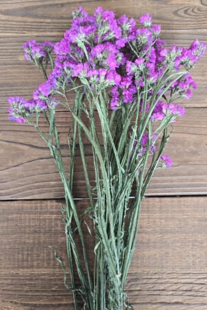 strandflieder limonium getrocknet lila im Mrs Greenery Shop bestellen kaufen