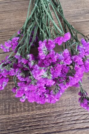 strandflieder limonium getrocknet lila im Mrs Greenery Shop bestellen kaufen
