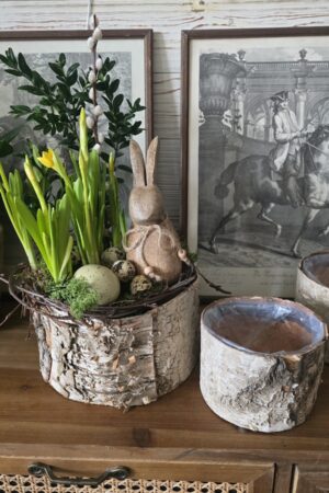 Birkentopf Übertopf Birke rund Topf Schale im Mrs Greenery Shop kaufen bestellen