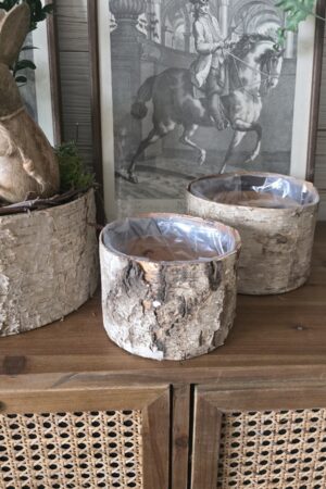 Birkentopf Übertopf Birke rund Topf Schale im Mrs Greenery Shop kaufen bestellen