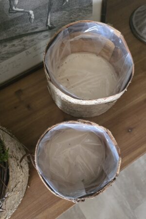 Birkentopf Übertopf Birke rund Topf Schale im Mrs Greenery Shop kaufen bestellen