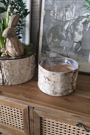 Birkentopf Übertopf Birke rund Topf Schale im Mrs Greenery Shop kaufen bestellen