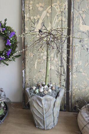 Weidekätzchen Stamm Baum Topfpflanze Salix im Mrs Greenery Shop bestellen kaufen