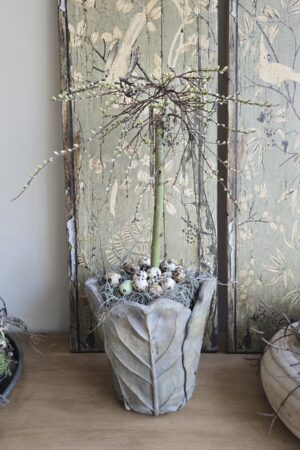 Weidekätzchen Stamm Baum Topfpflanze Salix im Mrs Greenery Shop bestellen kaufen