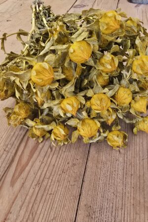 Alternative view of Bund Carthamus gelb