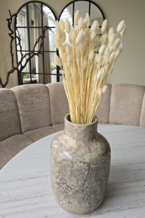 phalaris creme weiss getrocknet trockenblumen im mrs greenery Shop bestellen kaufen naturdeko