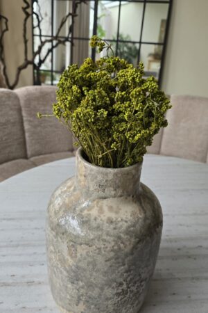 crispum basil grün getrocknet trockenblumen im mrs greenery Shop bestellen kaufen naturdeko