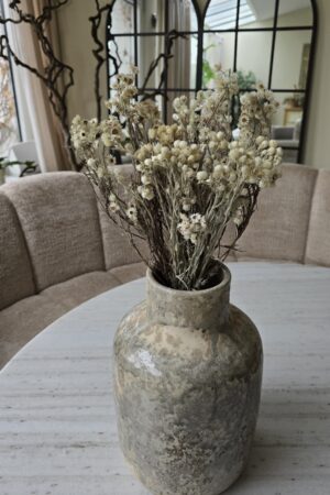 Syncarpha argyropsis getrocknet trockenblumen im mrs greenery Shop bestellen kaufen naturdeko