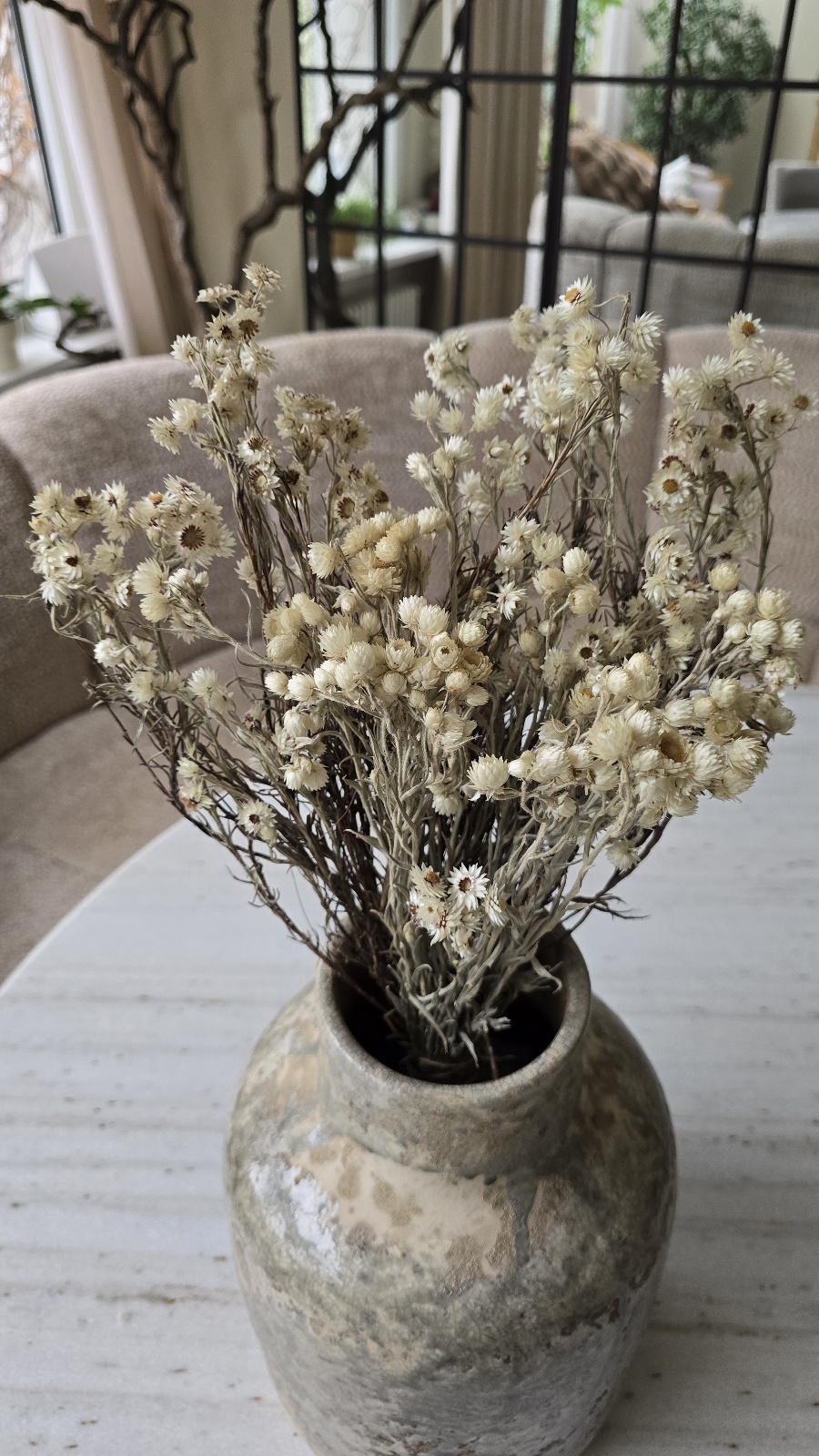 Syncarpha argyropsis getrocknet trockenblumen im mrs greenery Shop bestellen kaufen naturdeko