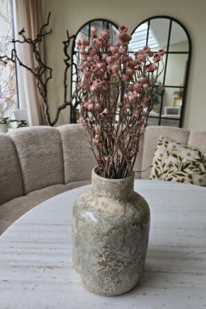 Syncarpha argyropsis getrocknet trockenblumen im mrs greenery Shop bestellen kaufen naturdeko