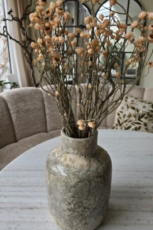 Syncarpha argyropsis getrocknet trockenblumen im mrs greenery Shop bestellen kaufen naturdeko