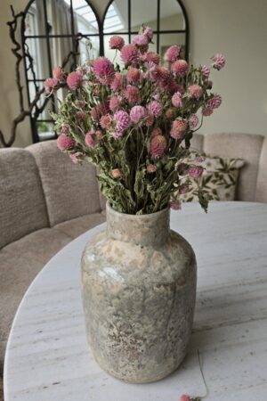 gomphrena kugelamaranth getrocknet trockenblumen im mrs greenery Shop bestellen kaufen naturdeko