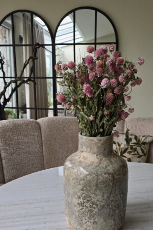 gomphrena kugelamaranth getrocknet trockenblumen im mrs greenery Shop bestellen kaufen naturdeko