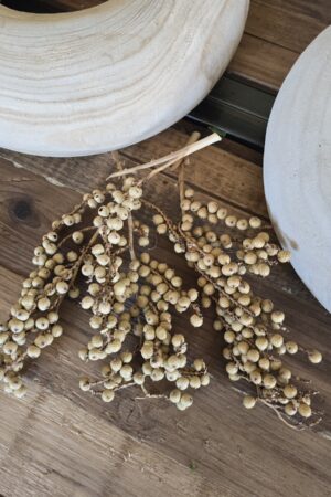 canella beeren zweige trockenblumen trockenfrüchte deko im mrs greenery shop kaufen bestellen