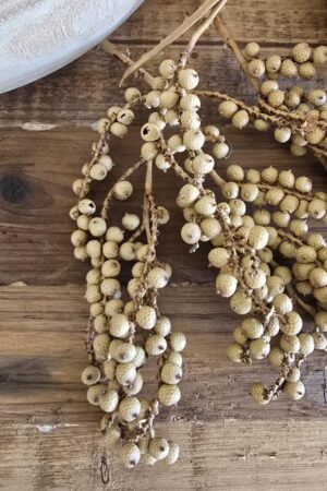 canella beeren zweige trockenblumen trockenfrüchte deko im mrs greenery shop kaufen bestellen