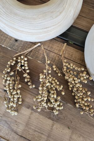 canella beeren zweige trockenblumen trockenfrüchte deko im mrs greenery shop kaufen bestellen