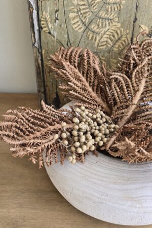 okosfrüchtezweig kokos früchte canella beeren zweige trockenblumen trockenfrüchte deko im mrs greenery shop kaufen bestellen